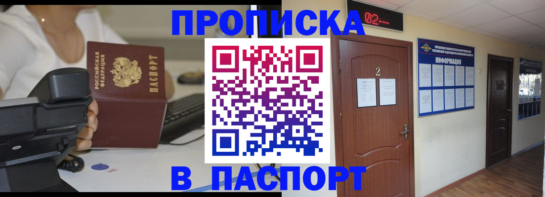прописка для школы в Братске